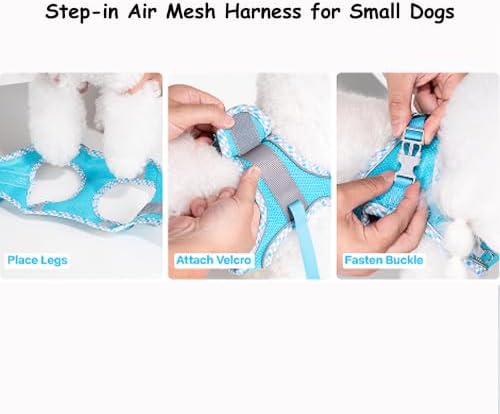 Petank Step in Dog Harness No Pull and Leash for Small Medium Dogs Cats. - Image 6