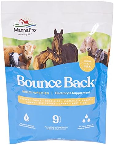 Manna Pro Bounce Back Supplement | Multi-Species Electrolyte | 4 oz by MannaPro
