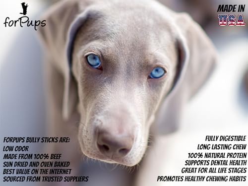 Regular 3"-4" Bully Sticks (1 Pound) for Small Dogs & Puppies, for Sensitive Chewers, All Natural, 100% Beef Pizzle Chew, No Additives, Fully Digestible Dental Treats (3-4 inch, 1 lb/16 oz) - Image 2
