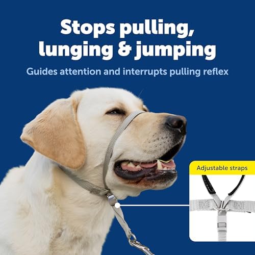 PetSafe Gentle Leader No-Pull Dog Headcollar - The Ultimate Solution to Pulling - Redirects Your Dog's Pulling for Easier Walks - Helps You Regain Control - Small, Apple Green - Image 3