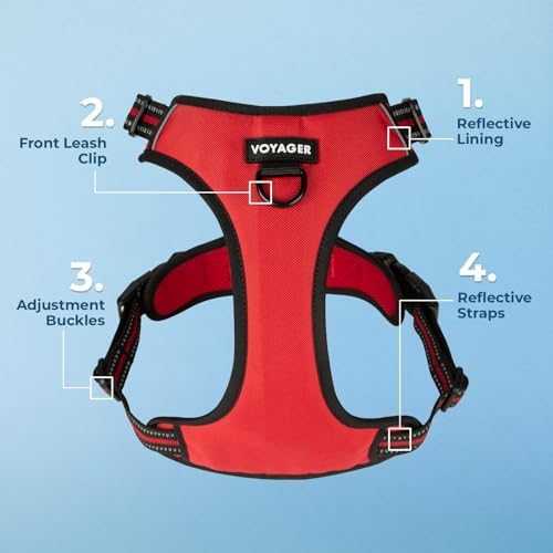 Voyager Dog Harness Dual Leash Attachment No-Pull Control Adjustable Soft but Strong Pet Harness for Medium and Large Dogs with 3M Reflective Technology, Leash Set Red Nylon, S (Chest: 16-20") - Image 5