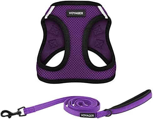 Best Pet Supplies Voyager Step-in Air All Weather Mesh Harness and Reflective Dog 5ft Leash Combo with Neoprene Handle, for Small, Medium and Large Breed Puppies - Purple/Black Trim, XXX-Small by BestPetSuppliesLLC