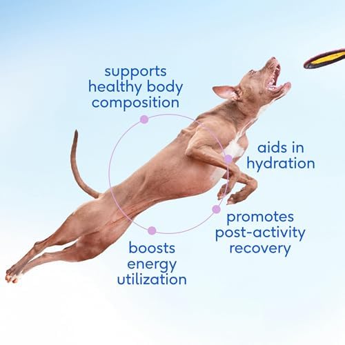 Native Pet Goat Milk Powder - Dog Food Topper for Active Dogs - Post-Activity Recovery, Energy, Immune Support, Hydration & Bone Health - Whole Goat Milk with MCTs & Essential Minerals - 120 Scoops - Image 2