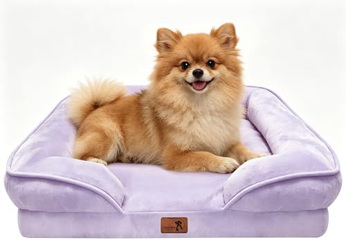 Spotted Play Orthopedic Dog Bed with Sides - Sofa Beds for Small Dogs, Supportive Foam Pet Couch Bed with Washable Removable Cover, Waterproof Lining and Non-Slip Bottom, Purple - S by Spotted+Play