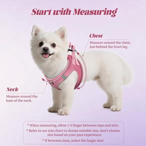 No Pull Dog Puppy Harness and Leash Set Reflective Mesh Vest Small - Image 2