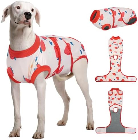Kuoser Dog Recovery Suit, Female Male Spay Neuter Surgery Suit, Printed,XXL by Kuoser