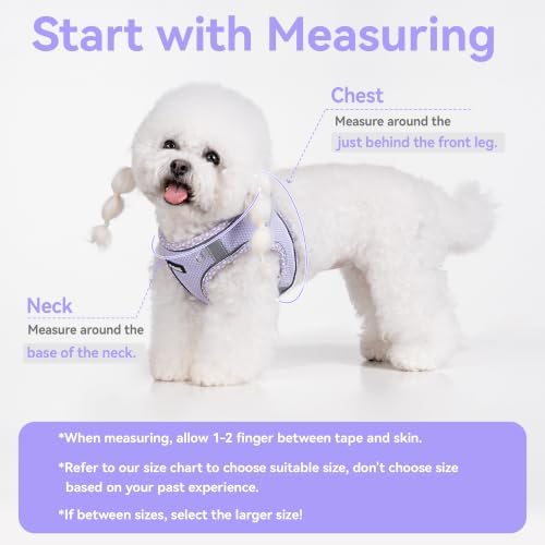 Petank Dog Harness for Small Medium Dogs No Pull, Puppy Harness and Leash Set, Step in Dog Harness for Walking, Running, Training, Small Dog Vest, Medium Dog Vest (Purple, M) - Image 4