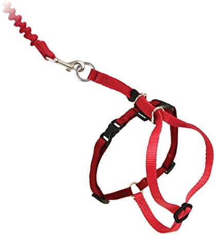 PetSafe Come With Me Kitty Harness and Bungee Leash, Harness for Cats, Large, Red/Cranberry (CWMK-L-RED) - Image 4
