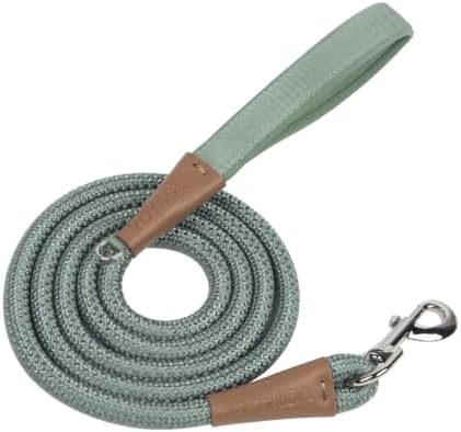 Voyager by Best Pet Supplies Round Rope Reflective Dog Leash - Soft Neoprene Handle & Tangle-Free Hook - Heavy Duty, Strong Durable Lead for Large/Medium/Small Dogs - Moss Green, 3/8” x 5' by BestPetSuppliesLLC