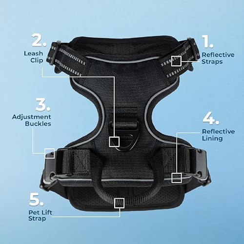 Voyager Dual Attachment No Pull Harness - Black, Small - Image 5