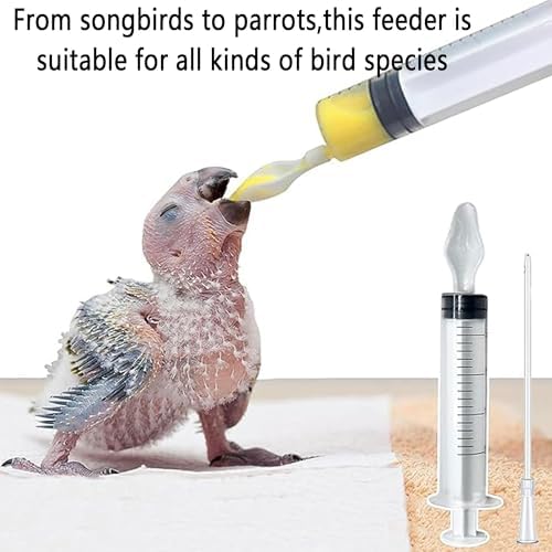 8 pcs Bird Feeding Syringe Set,Small Bird Pet Parrot Feeder Tubes - Image 3