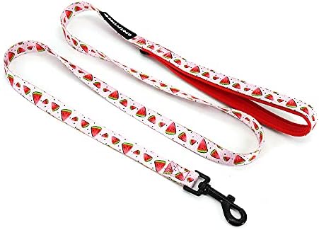 Dog Harness and Leash Set, Adjustable Dog Harness, Dog Leash, No Pull No Choke Puppy Harnesses for Walking Training for Small Medium Pet - Image 2