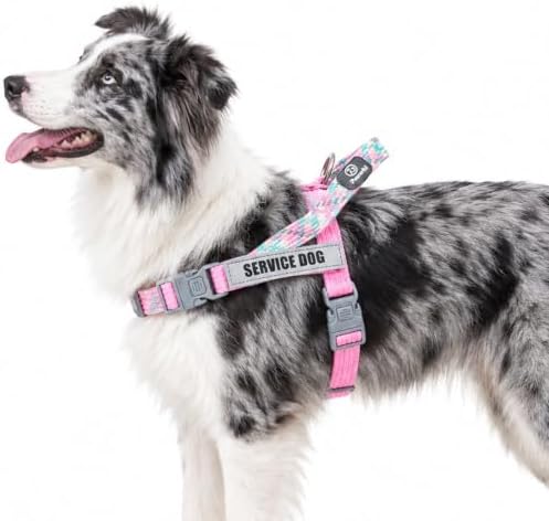 Service Dog Vest, No-Pull Service Dog Harness with 4 PCS Reflective Patches, Dog Vest Harness with Handle, Pet Harness for Small Medium Large Dogs in Training (Pink, S) by Paworld