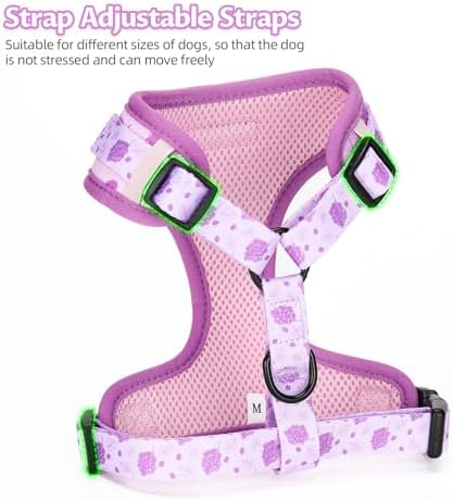 Dog Harness and Leash Set, Adjustable Dog Harness, Dog Leash, No Pull No Choke Puppy Harnesses for Walking Training for Small Medium Pet (Wines, L(Chest 18.5-27.1", Neck 14.5-20.1")) - Image 6