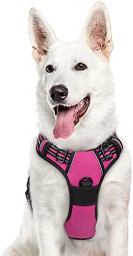 Eagloo Dog Harness for Large Dogs, No Pull Pet Vest with 2 Leash Clips by GoExplorewithEagloo