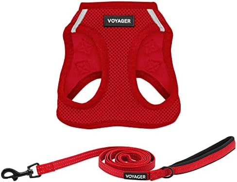 Best Pet Supplies Voyager Step-in Air All Weather Mesh Harness and Reflective Dog 5ft Leash Combo with Neoprene Handle, for Small, Medium and Large Breed Puppies - Red, X-Small by BestPetSuppliesLLC