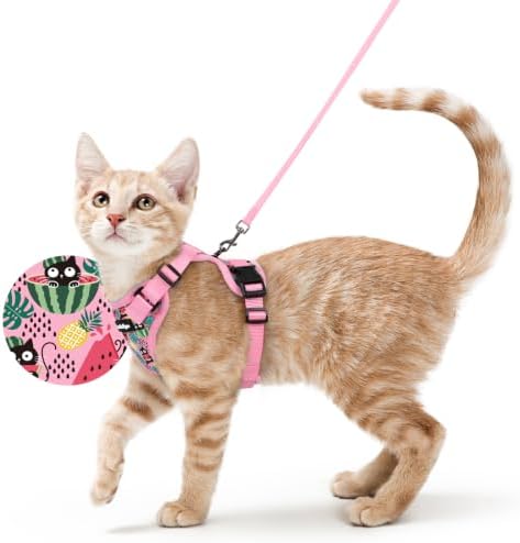 rabbitgoo Cat Harness and Leash Set, Escape Proof Vest, Melon Munch by rabbitgoo