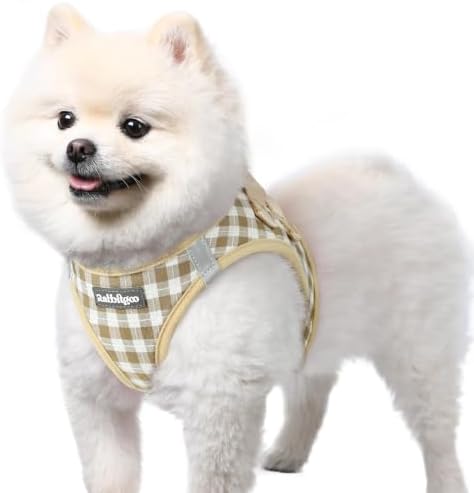 rabbitgoo Step-in Small Dog Harness, Puppy Vest for Small Sized Pet by rabbitgoo