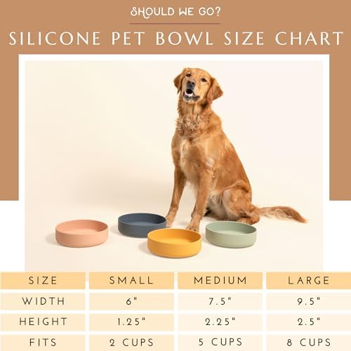The Perfect Dish - Silicone Dog Bowl for Food & Water, 9.5" x 2.5"- Sage - Image 4