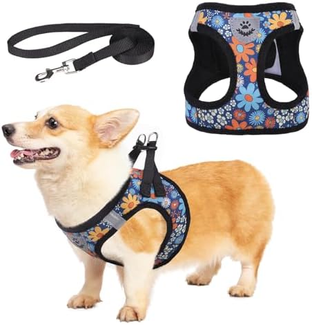 KOOLTAIL Dog Harness and Leash Set for Small Medium Dogs, Step in No Pull Comfort Padded Pet Vest, Adjustable Reflective Easy Walking Puppy Cats Harness Training, Flower Navy M by KOOLTAIL