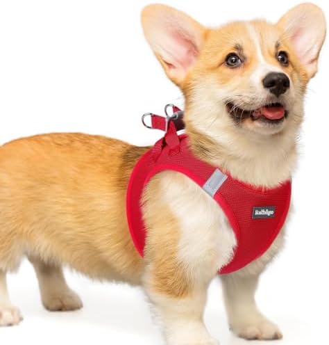 rabbitgoo Step-in Small Dog Harness, Puppy Vest for Small Medium Sized Pet by rabbitgoo