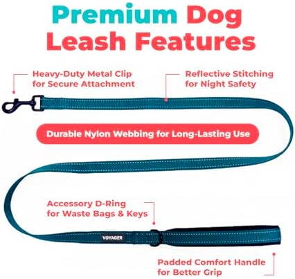 Best Pet Supplies Voyager Nylon Dog Leash - Blue, Large - Image 2