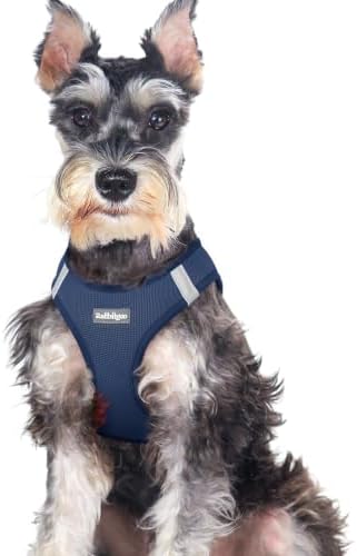 rabbitgoo Step-in Small Dog Harness, Puppy Vest for Medium Sized Pet by rabbitgoo
