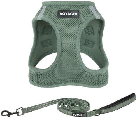 Best Pet Supplies Voyager Step-in Air All Weather Mesh Harness and Reflective Dog 5ft Leash Combo with Neoprene Handle, for Small, Medium and Large Breed Puppies - Moss Green, XXXS by BestPetSuppliesLLC