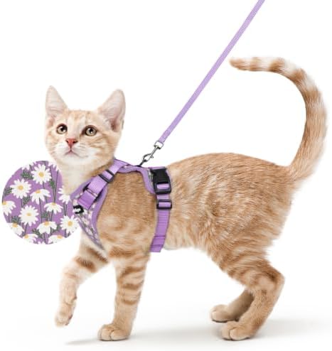 rabbitgoo Cat Harness and Leash Set, Escape Proof Vest, Purr-ple Daisy by rabbitgoo