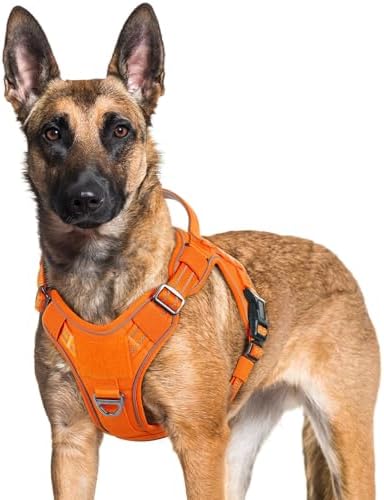 rabbitgoo Tactical Dog Harness for Large Dogs, No Pull Service Pet Vest by rabbitgoo