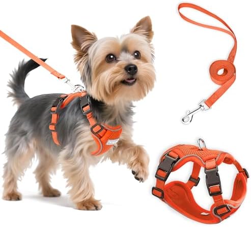 Small Dog Harness and Leash Set, Adjustable Small Sized Pet Vest by Unknown