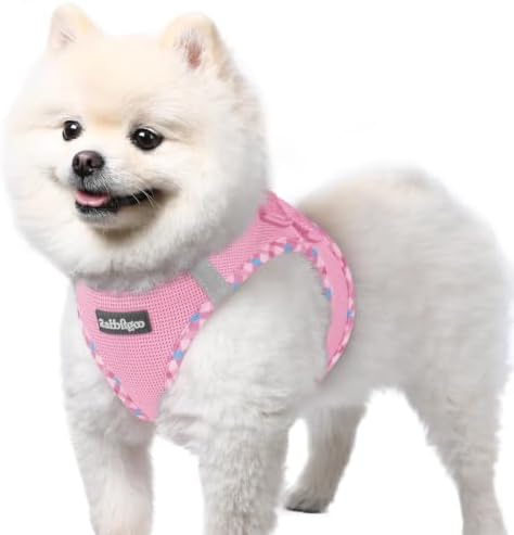 rabbitgoo Step-in Small Dog Harness, Puppy Vest for Small Sized Pet by rabbitgoo