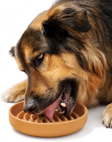Slow Feeder Dog Bowl - Silicone Dog Bowl, Medium, 7.5" x 1.5" - Terracotta by ShouldWeGo