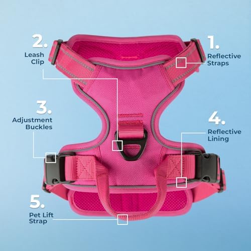 Voyager Dog Harness Dual Leash Attachment No-Pull Control Adjustable Soft but Strong Pet Harness for Medium and Large Dogs with 3M Reflective Technology, Leash Set Fuchsia Nylon, S (Chest: 16-20") - Image 6