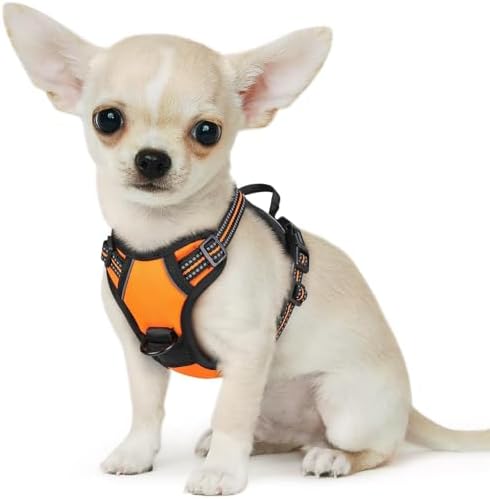 Eagloo Dog Harness for Small Dogs, No Pull Pet Vest with 2 Leash Clips by GoExplorewithEagloo