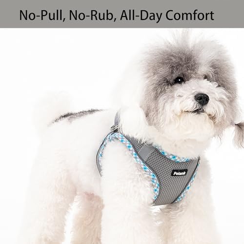 Petank Step in Dog Harness No Pull and Leash for Small Medium Dogs Cats. - Image 2