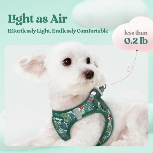 rabbitgoo Dog Harness Small Sized and Leash Set, Step-in Puppy Pet Vest - Image 3