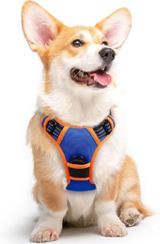 Eagloo Dog Harness for Medium Sized Dogs, No Pull Vest with 2 Leash Clips by GoExplorewithEagloo