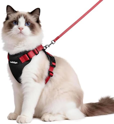 rabbitgoo Cat Harness and Leash Set, Escape Proof Vest, Black & Red by rabbitgoo