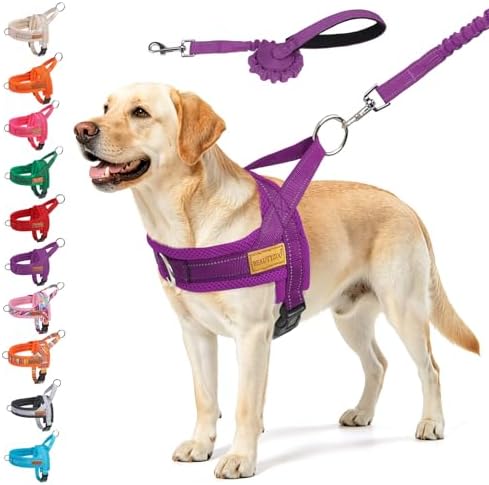 BEAUTYZOO Dog Harness for Large Dogs,No Pull Step in Pet Vest and Leash Set by BEAUTYZOO