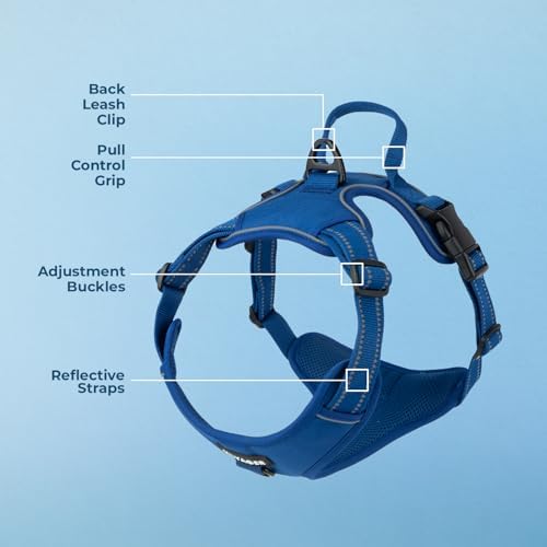 Voyager Dual Attachment No Pull Harness - Royal Blue, Large - Image 5