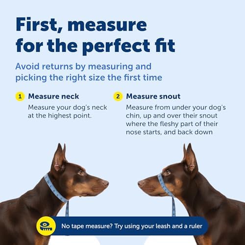PetSafe Gentle Leader No Pull Dog Headcollar, Silver, Small - Image 6