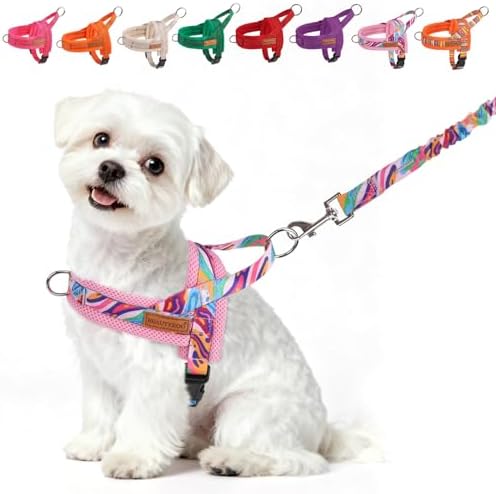 BEAUTYZOO Small Dog Harness and Leash Set, No Pull Step in Puppy Vest by BEAUTYZOO