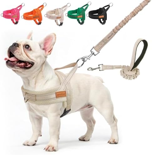 BEAUTYZOO Dog Harness Medium Sized and Leash Set, No Pull Step in Pet Vest by BEAUTYZOO
