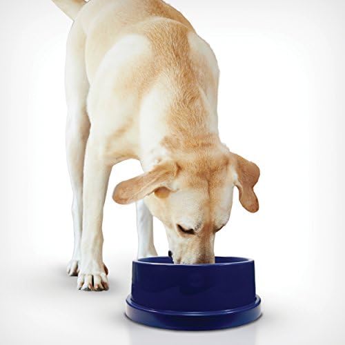 K&H Pet Products Cooling Pet Bowl | Blue | 96 Ounces | Pack of 6 - Image 2