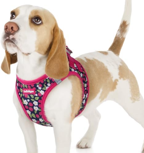 rabbitgoo Step-in Small Dog Harness, Puppy Vest for Small Sized Pet by rabbitgoo