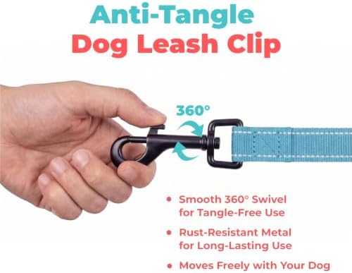 Best Pet Supplies Voyager Nylon Dog Leash - Sky Blue, Medium - Image 7