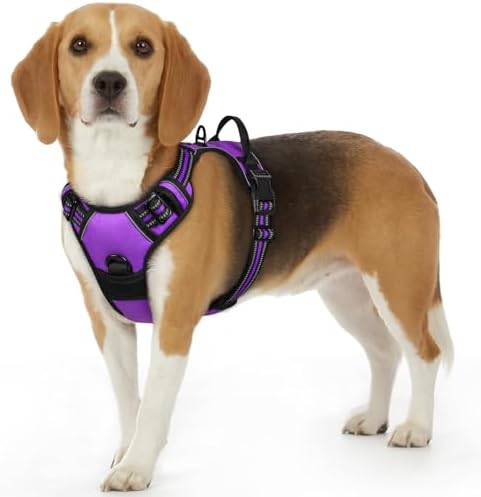 Eagloo Dog Harness for Small Dogs, No Pull Pet Vest with 2 Leash Clips by GoExplorewithEagloo