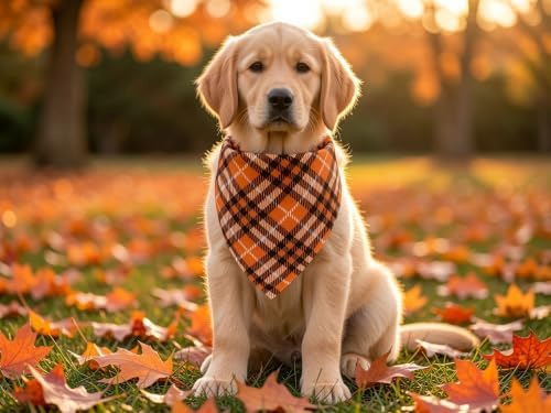 Fall Dog Bandanas 2PCS Halloween Pumpkin Spider Web Large Dogs - Image 5