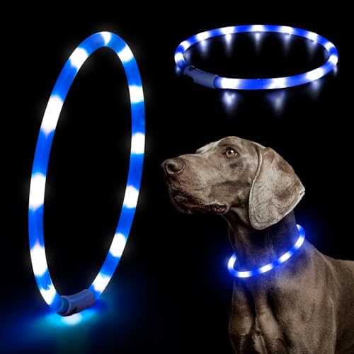 HIGO Light Up Dog Collar, Lightweight LED Dog Collar for Dogs Cats, USB Rechargeable LED Dog Necklace Light Makes Your Beloved Dogs Glow in the Dark (Blue-Silicone) by Higo